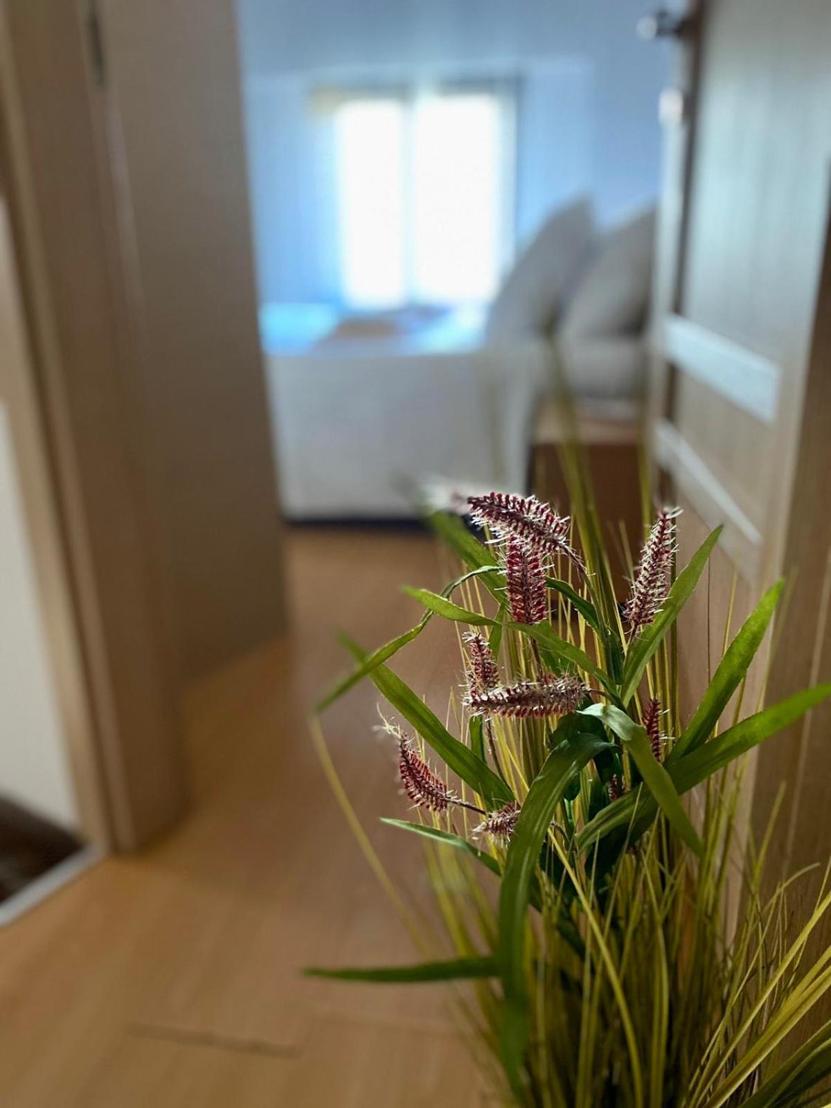 Casa Del Sol Leilighet Aronion Eksteriør bilde